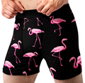 Pink Flamingo Men’s Boxer Briefs – Tropical Bird Underwear