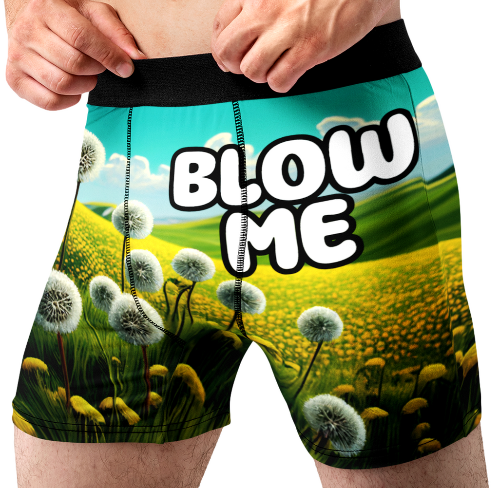 Blow Me Funny Men’s Boxer Briefs – Dandelion Underwear